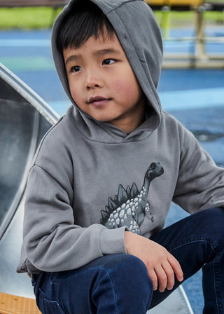 Mayoral Embossment Print Pullover Grey Dino