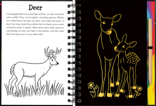 Peter Pauper Press - Forest Friends Scratch & Sketch™