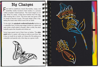 Peter Pauper Press - Scratch & Sketch™ Bugs