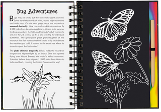 Peter Pauper Press - Scratch & Sketch™ Bugs