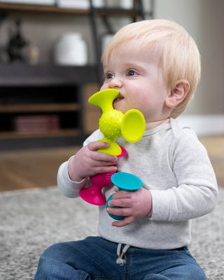 Fat Brain Toy Co. pipSquigz