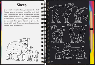 Peter Pauper Press - Scratch & Sketch On The Farm