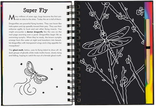 Peter Pauper Press - Scratch & Sketch™ Bugs