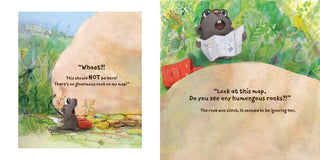 Sleeping Bear Press - Rock and Vole Picture Book