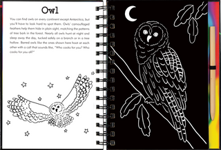 Peter Pauper Press - Forest Friends Scratch & Sketch™