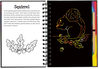 Peter Pauper Press - Forest Friends Scratch & Sketch™