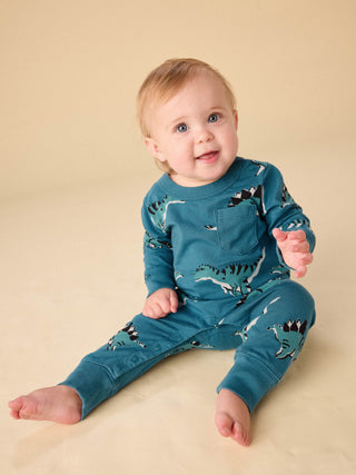 Tea Long Sleeve Pocket Baby Dynamic DInos