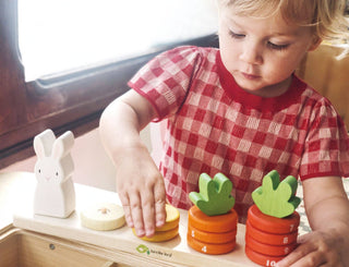 Tender Leaf Toys - Counting Carrots