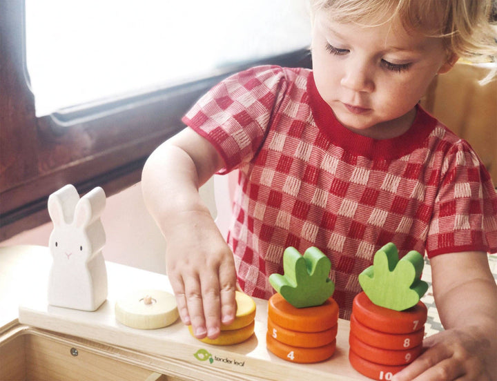 Tender Leaf Toys - Counting Carrots
