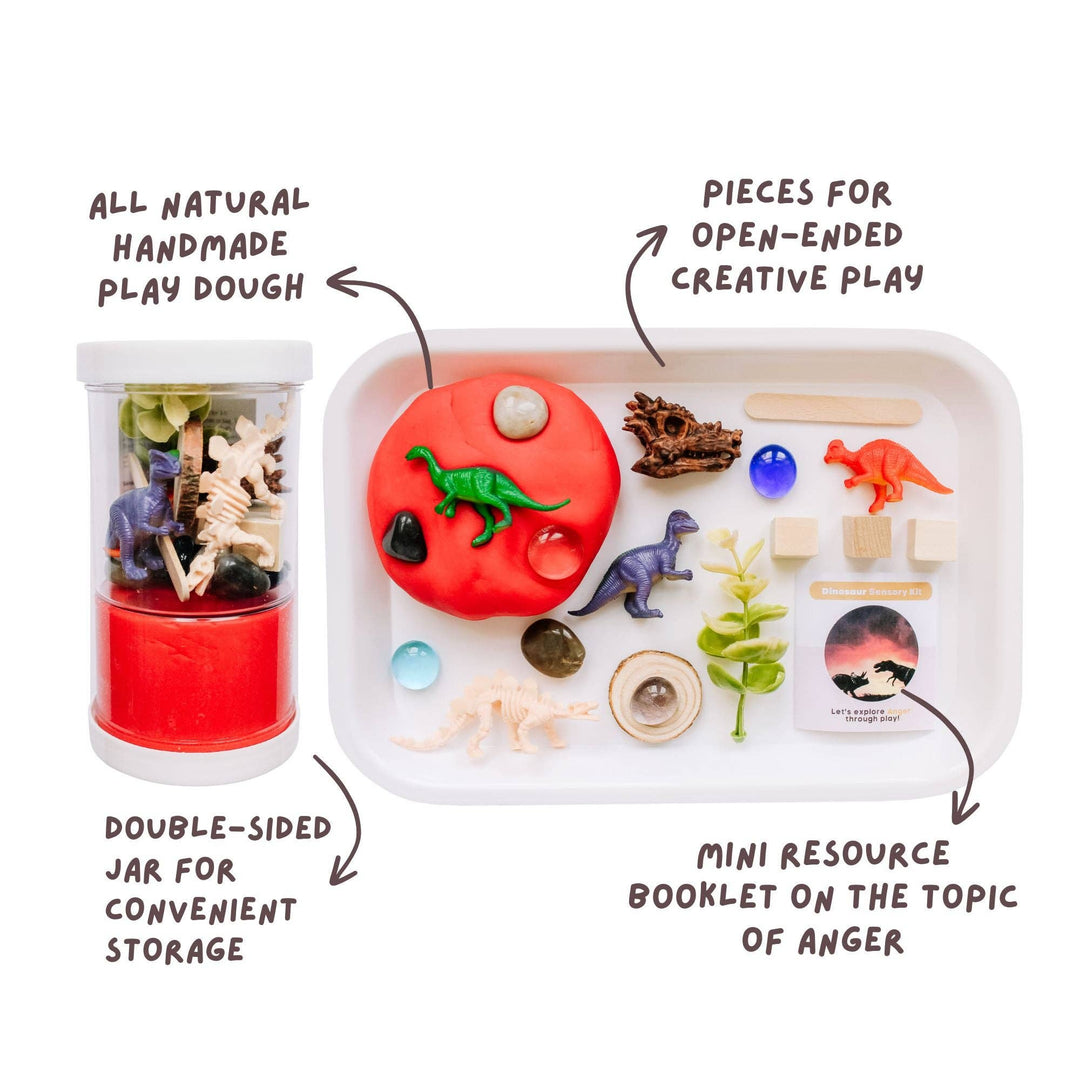 Present Not Perfect Play Co - Children's Dinos Sensory Play Kit