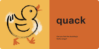 Hachette Book Group - Spring Street Touch and Feel: Farm
