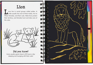 Peter Pauper Press - Scratch & Sketch Wild Safari