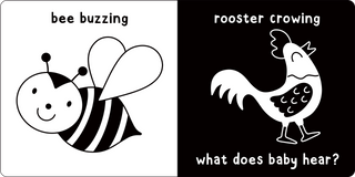 Peter Pauper Press - What Does Baby See? On the Farm