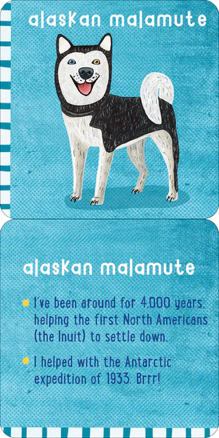 Peter Pauper Press - Lunch Box All the Dogs Card Deck