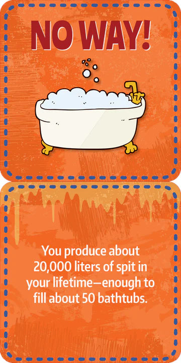 Peter Pauper Press - Lunch Box Gross Facts Card Deck – Classy Rascals ...