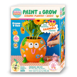 Bright Stripes Paint & Grow Orange