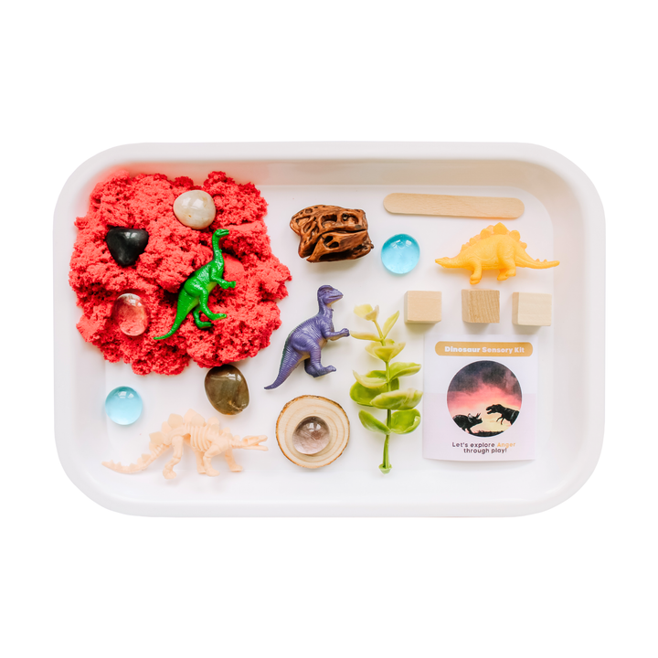 Present Not Perfect Play Co - Children's Dinos Sensory Play Kit