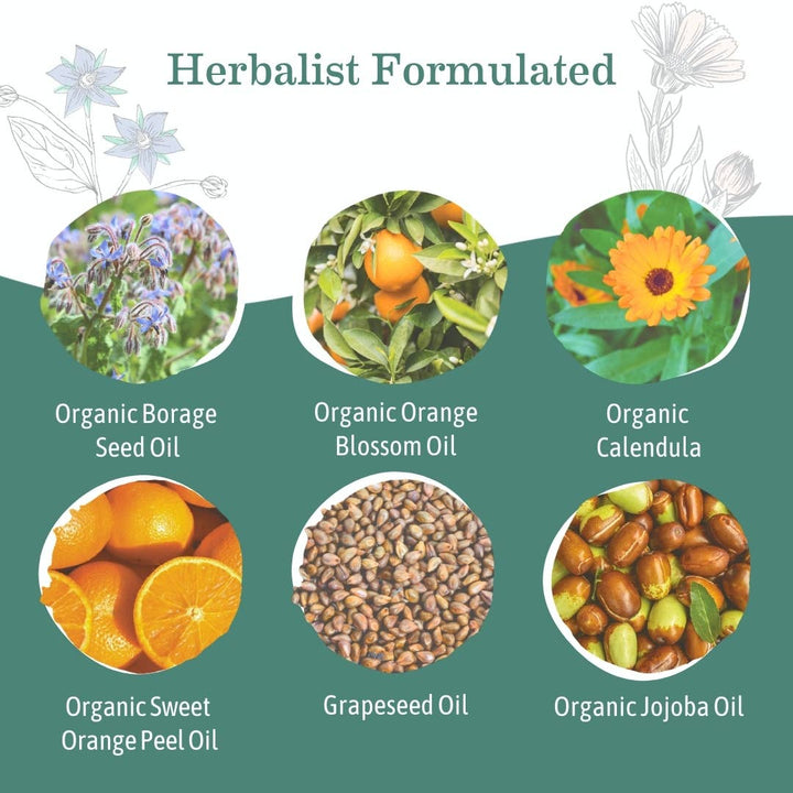 Earth Mama Organics - Belly Oil