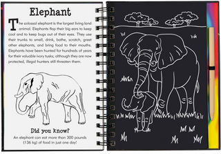 Peter Pauper Press - Scratch & Sketch Wild Safari