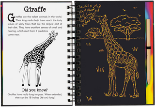 Peter Pauper Press - Scratch & Sketch Wild Safari