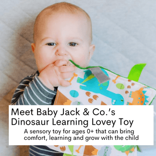Baby Jack and Company - Baby Jack and Company - Dinosaur Learning Lovey Crinkle Tag Sensory Toy 8"x8" - Classy Rascals Boutique
