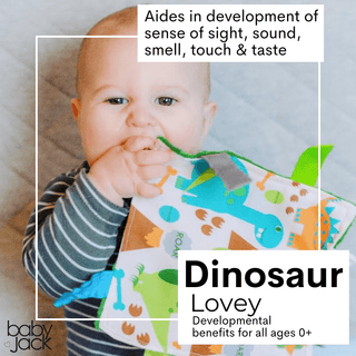 Baby Jack and Company - Baby Jack and Company - Dinosaur Learning Lovey Crinkle Tag Sensory Toy 8"x8" - Classy Rascals Boutique