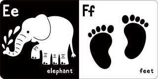 Peter Pauper Press - What Does Baby See? ABCs