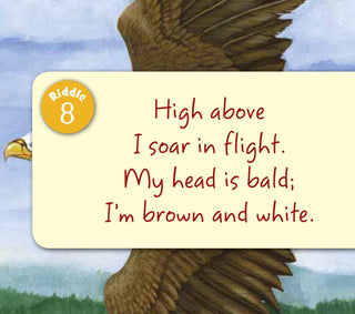 Sleeping Bear Press - Little Wisconsin Board Book