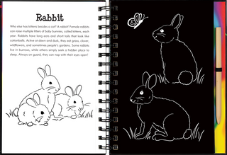 Peter Pauper Press - Forest Friends Scratch & Sketch™