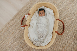 Copper Pearl - Copper Pearl Knit Swaddle Blanket Jurassic Park Fossils - Classy Rascals Boutique