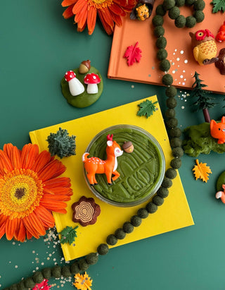 Earth Grown KidDoughs (KidDoughs by EGKD) - Earth Grown KidDoughs Forest Friends Play Kit - Classy Rascals Boutique