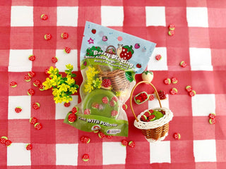 Earth Grown KidDoughs (KidDoughs by EGKD) - Earth Grown KidDoughs (KidDoughs by EGKD) - Berry Picking Mini Play Pack - Classy Rascals Boutique