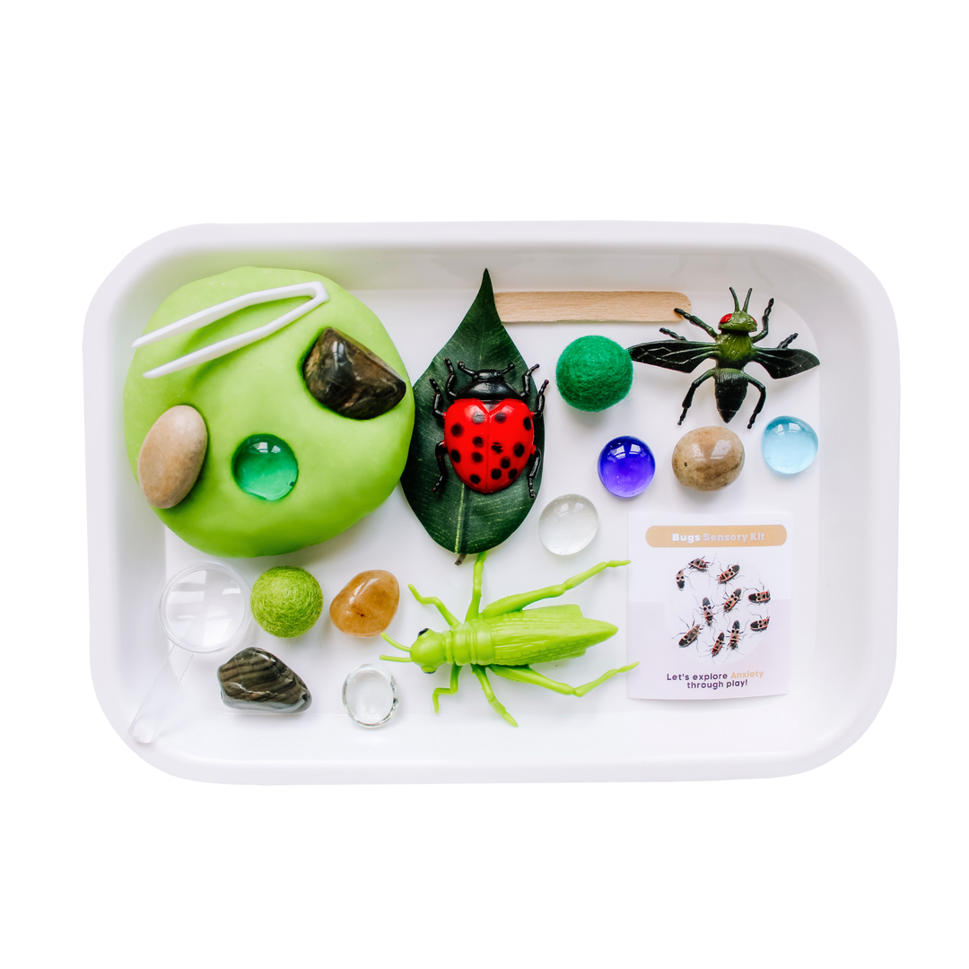 Present Not Perfect Play Co - Children's Bugs Sensory Play Kit