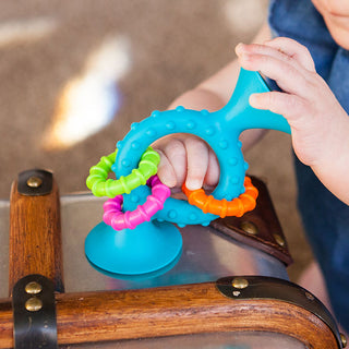 Fat Brain Toy Co. Assorted Pip Squigz Loops