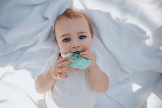 Itzy Ritzy - Itzy Ritzy - Sweetie Shake Plus™ - Teething + Rattle Toy - Classy Rascals Boutique