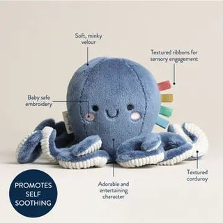 Itzy Ritzy - Itzy Ritzy - Sweetie Snuggles™ Plush - Classy Rascals Boutique