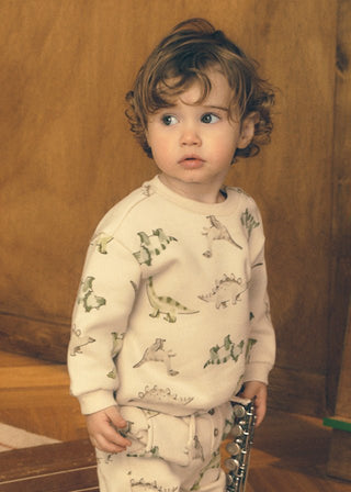 Mayoral - Mayoral Dino Print Pullover - Classy Rascals Boutique