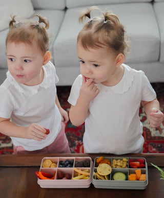 Melii Baby - melii - Mini Snackle Box - 6 Compartment - Classy Rascals Boutique