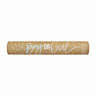 Mud Pie - Mud Pie Gender Reveal Popper - Classy Rascals Boutique