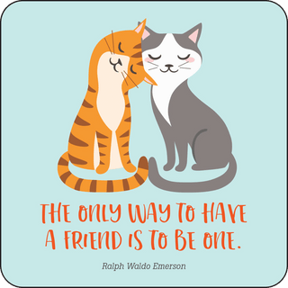 Peter Pauper Press - Peter Pauper Press - Kindness Lunch Box Notes For Kids! - Classy Rascals Boutique