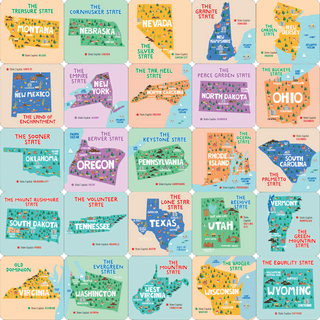 Peter Pauper Press - Peter Pauper Press - USA Memory Match Game (Set of 100 cards) - Classy Rascals Boutique
