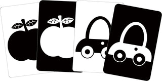 Peter Pauper Press - Peter Pauper Press - What Does Baby See? Flash Cards Value Pack - Classy Rascals Boutique