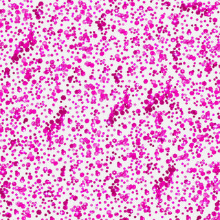 Piggy Paint - Piggy Paint - Glitter Gel - Classy Rascals Boutique