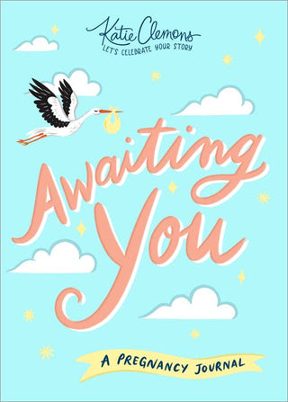 Sourcebooks - Sourcebooks - Awaiting You - Classy Rascals Boutique