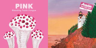 Sourcebooks - Sourcebooks - Colors of the National Parks - Classy Rascals Boutique