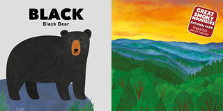 Sourcebooks - Sourcebooks - Colors of the National Parks - Classy Rascals Boutique