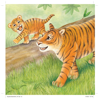 Sourcebooks - Sourcebooks - Why A Son Needs A Mom (hardcover) - Classy Rascals Boutique