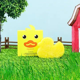 Spongelle' - Spongelle' Sponge Sea Animals - Danny Duck - Classy Rascals Boutique