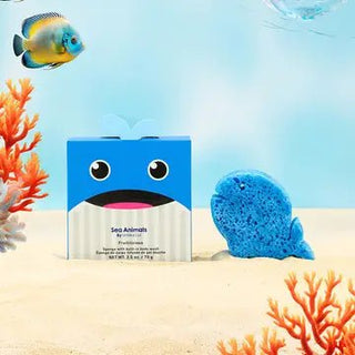 Spongelle' - Spongelle' Sponge Sea Animals - Walter Whale - Classy Rascals Boutique
