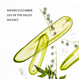 Touchland - Touchland - Lily Of The Valley Gentle Mist Ultra - Soothing Hand Sanitizer - Classy Rascals Boutique